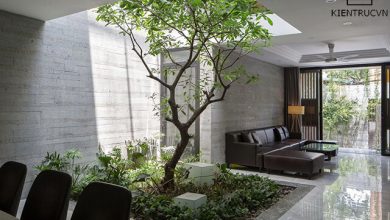 Giếng trời chính là vị trí cực đẹp biến tấu không gian xanh hoàn hảo