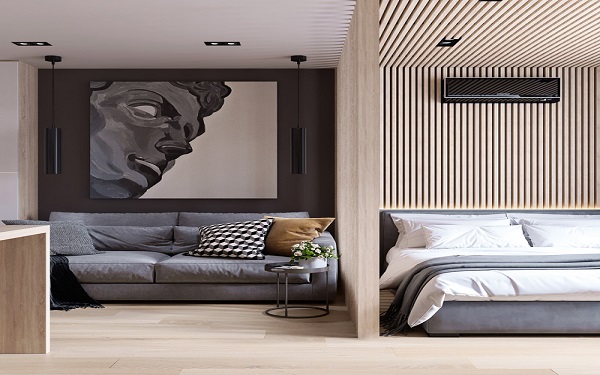 Mẫu thiết kế phòng khách kết hợp phòng ngủ phong cách hiện đại, thanh lịch